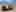 2026 Toyota 4Runner
